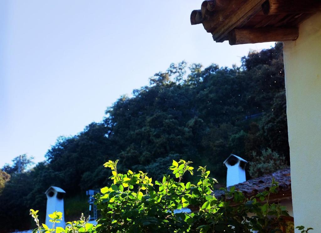 查兹拉德拉谢拉埃尔莫利诺德尔考尔考旅馆公寓 外观 照片